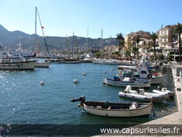 Calvi