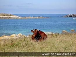 L'île de Batz